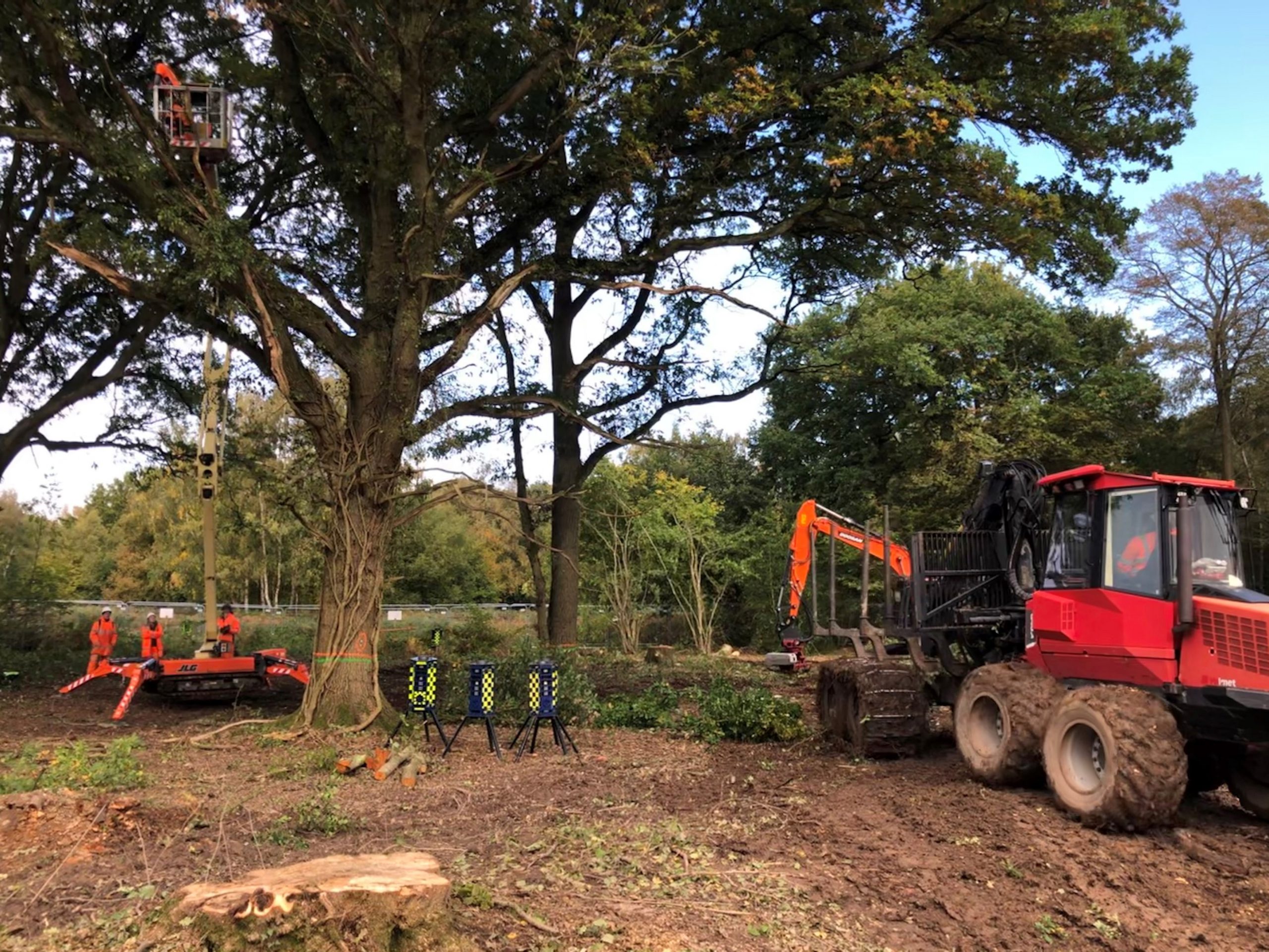 Arboriculture Works H W Martin (Fencing Contractors) Ltd